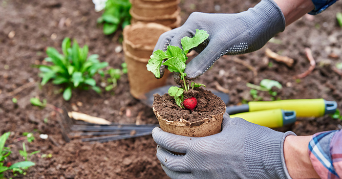 84 Percent of Americans Plan to Invest in Their Yard in 2022